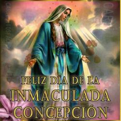 Feliz Día de la Inmaculada Concepción